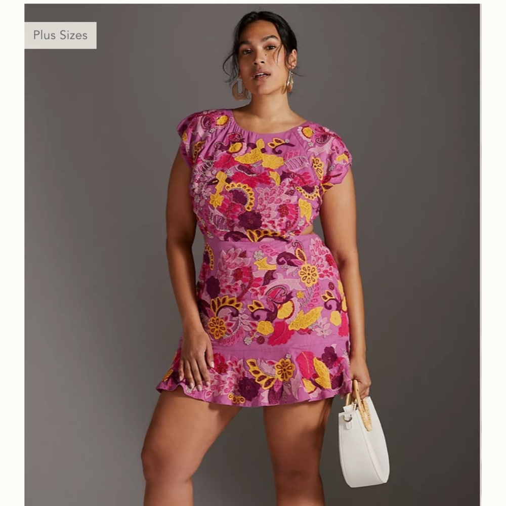 Anthropologie Maeve Embroidered Mini Dress